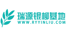  四川瑞源銀柳基地??? 企業(yè)網站SEO優(yōu)化案例